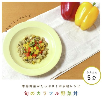 犬ご飯/旬のカラフル野菜丼の写真