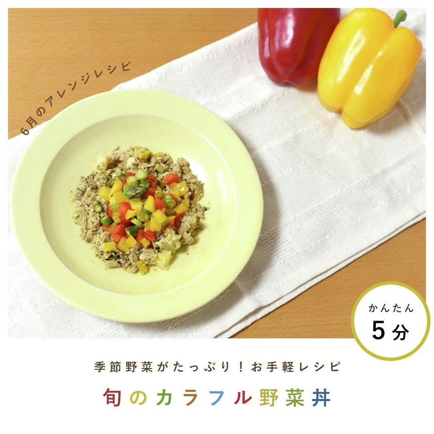 犬ご飯/旬のカラフル野菜丼の画像
