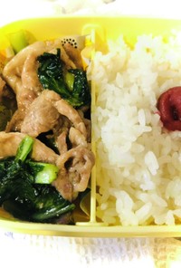 お弁当にもぴったりな小松菜と豚肉の炒め物