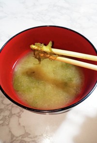 めかぶのお味噌汁(◕ᴗ◕✿)