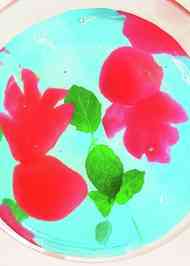 みんなの 可愛いゼリー レシピが274品 クックパッド