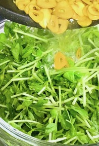 【豆苗】ガーリック・オイルのサラダ