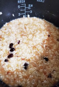 発芽酵素玄米ご飯の甘酒