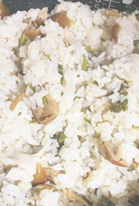 セロリの葉えのき舞茸の炊き込みご飯