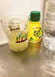 みんなの 超簡単ジュース レシピが1 676品 クックパッド