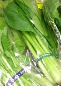 【冷凍保存】葉物野菜の冷凍方法
