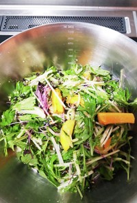 生姜と味噌ドレッシングで食べる柿サラダ