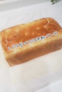 1.5斤型で100%米粉パン♡