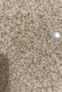 玄米＋白米＋オートミールご飯(5合炊き)