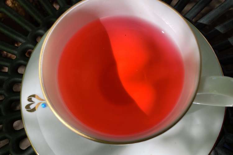 ローゼルティー ハイビスカスティー レシピ 作り方 By エコー農園 クックパッド 簡単おいしいみんなのレシピが377万品