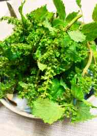 みんなの 穂紫蘇 レシピが116品 クックパッド