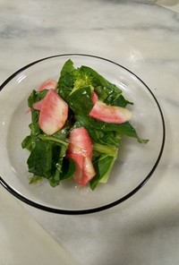 赤いりんごの小松菜サラダ