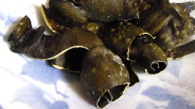 個人 宝 繊毛 乾燥 昆布 おやつ Karatebrembatesopra Net