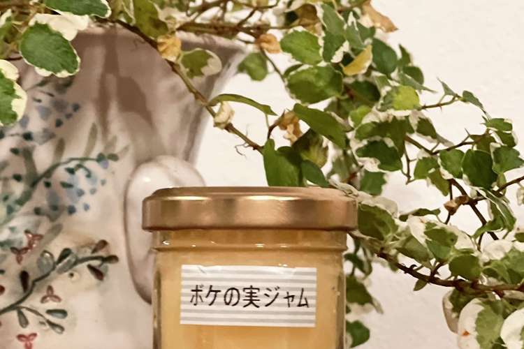 おうちで漢方 ぼけミツ レシピ 作り方 By デミ先生 クックパッド 簡単おいしいみんなのレシピが376万品