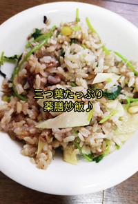 みつ葉、松の実、新生姜の薬膳15穀米炒飯
