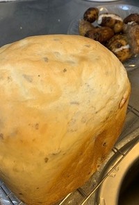 アピオス入りＨＢ早焼き食パン