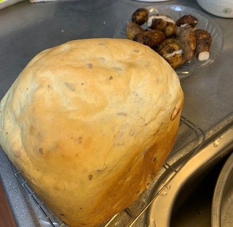 アピオス入りＨＢ早焼き食パンの画像