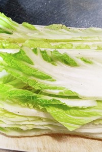 白菜の簡単保存方法
