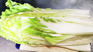 白菜の簡単保存方法の写真