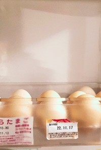 卵の保存