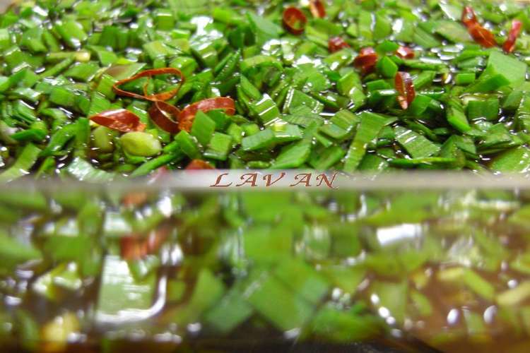 万能タレ にら醤油漬け レシピ 作り方 By Lavan クックパッド 簡単おいしいみんなのレシピが352万品