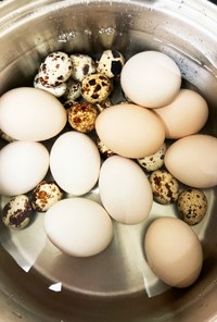 簡単にゆで卵をむく方法