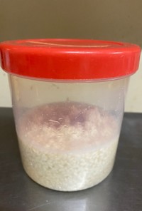 混ぜるだけっ！簡単塩麹の作り方