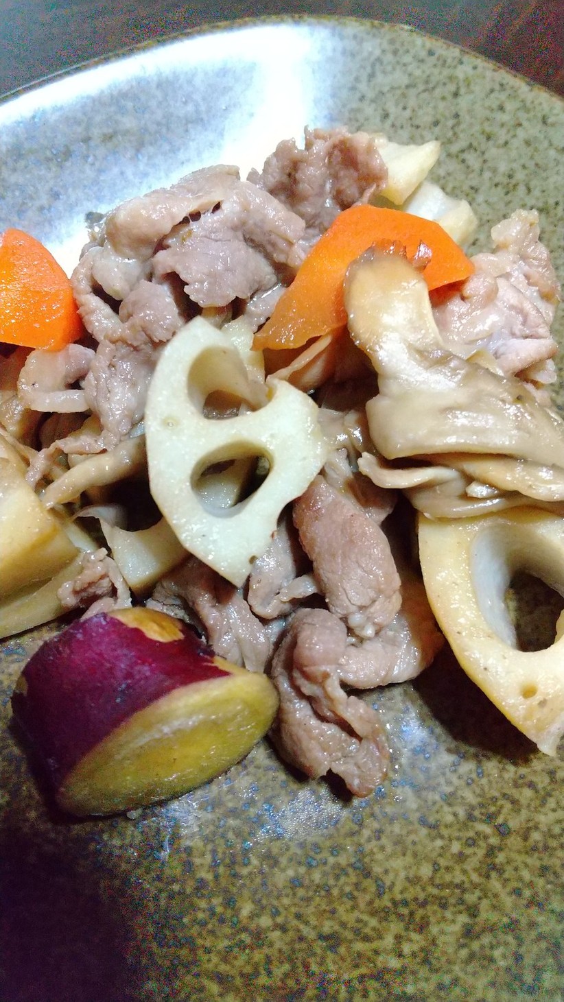 根菜と豚肉の炒め煮の画像