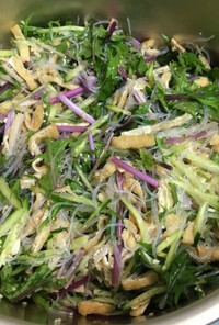 お揚げ(干し豆腐)と水菜の中華サラダ
