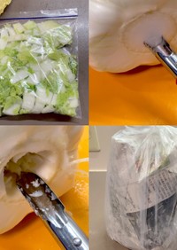 白菜の保存方法・冷凍保存