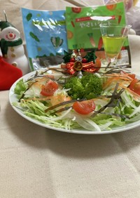 べジートのクリスマスサラダ