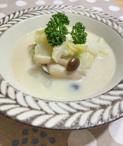 白菜の豆乳スープの写真