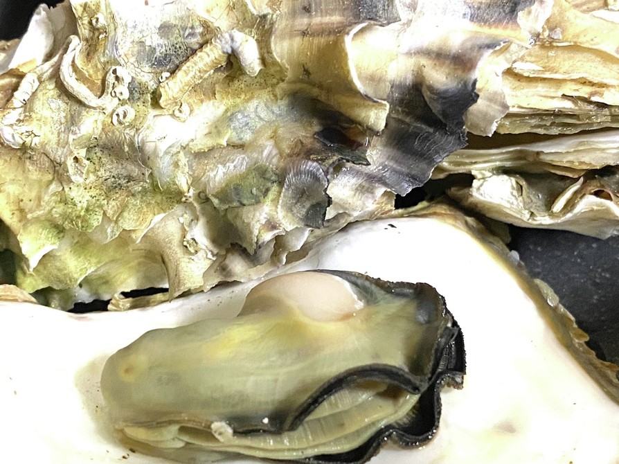 殻ごと｡｡｡牡蠣のじぶ蒸しの画像
