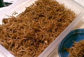母の味☆おじゃこ生姜煮