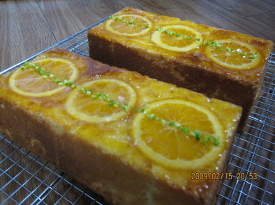 春色☆オレンジのケーキの写真