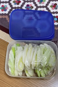 長葱の冷凍保存方法〜(o˘◡˘o)♡