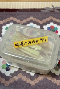 ミョウガの冷凍保存方法〜(o˘◡˘o)♡