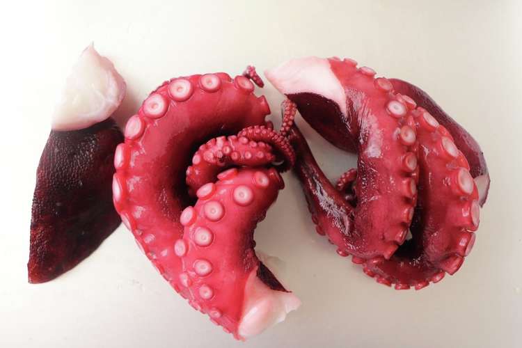 おいしいタコの見分け方 レシピ 作り方 By 料理教室bonちゃん クックパッド 簡単おいしいみんなのレシピが378万品