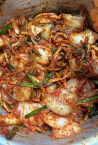 韓国白菜キムチ