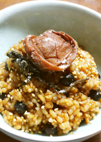 寝かせ玄米　赤豌豆の酵素玄米ご飯