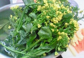 菜の花あえあえw