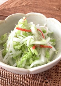 白菜と大根のカンタンサラダ