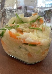 白菜と野菜の塩こうじ漬け　プラントベース