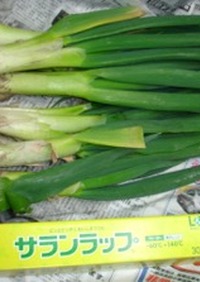 【冷凍保存】長葱白葱など根深葱の保存方法