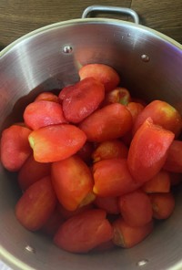 冬に実る夏の果実(トマトソース)