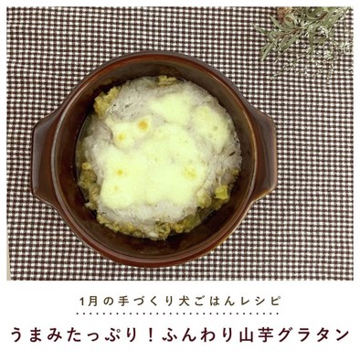 犬ご飯/ふんわり山芋グラタンの写真