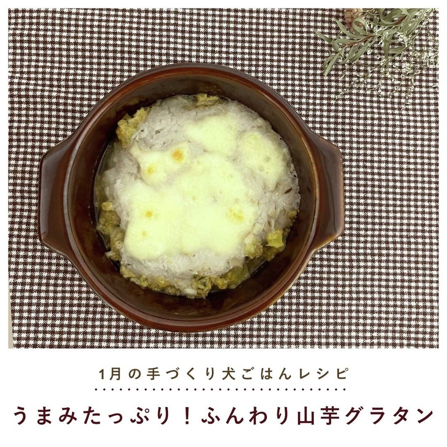 犬ご飯/ふんわり山芋グラタンの画像