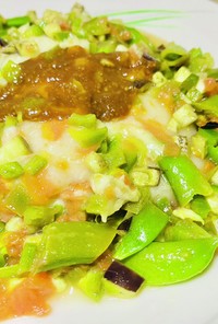 彩り夏野菜のラタトゥイユ風煮込み&焼き餅