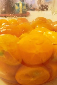 【新常識】柑橘のはちみつ漬けは種ごと！？