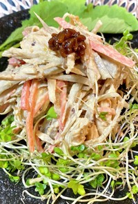 鶏ささみとゴボウのサラダ★発酵調味料使用
